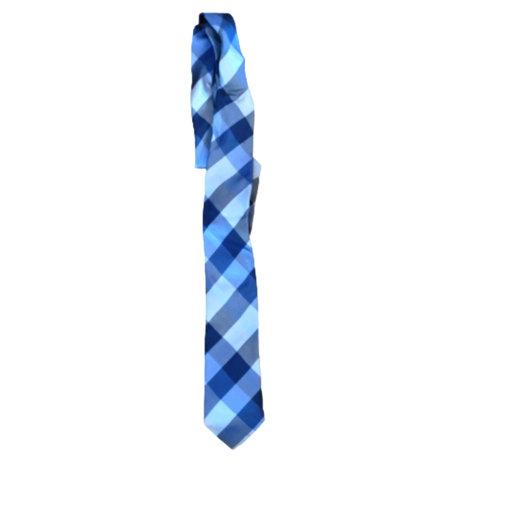 Ryan Seacrest Distinction tie. Blue.